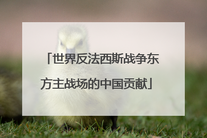 世界反法西斯战争东方主战场的中国贡献